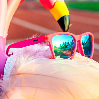 goodr Flamingos on a booze cruise. Rosa solglasögon med blå lins. Framställda för löpning och andra fartfyllda aktiviteter men också supersnygga som en färgklick till vardagsoutfiten!